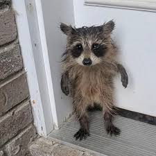 User Statistics For Musty